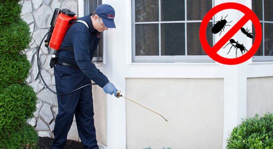 Kemeraltı Gümüşkurt İlaçlama böcek ilaçlama ve haşere kontrolü — ilaclama-tr.com